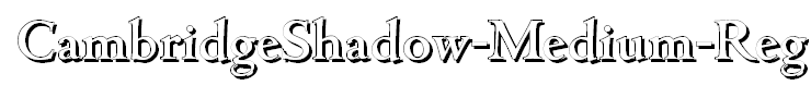 CambridgeShadow-Medium-Regular