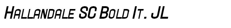 Hallandale SC Bold It. JL