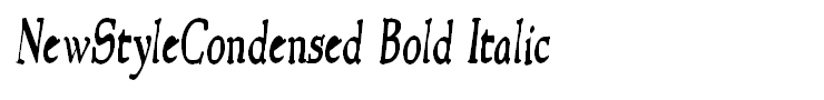 NewStyleCondensed Bold Italic