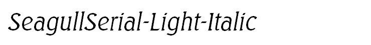 SeagullSerial-Light-Italic