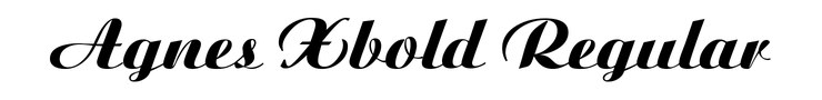Agnes Xbold Regular
