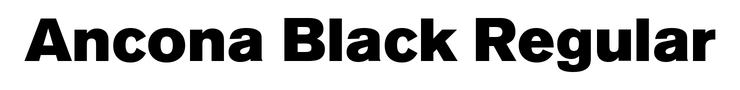 Ancona Black Regular