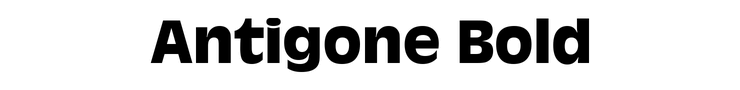 Antigone Bold