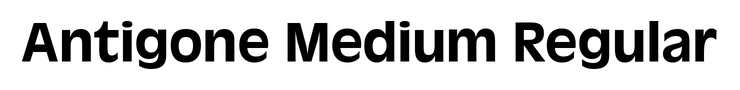 Antigone Medium Regular