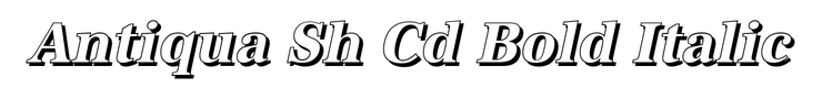 Antiqua Sh Cd Bold Italic