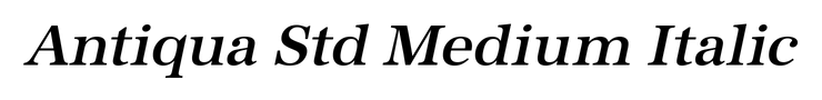 Antiqua Std Medium Italic
