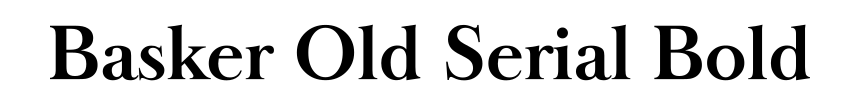 Basker Old Serial Bold