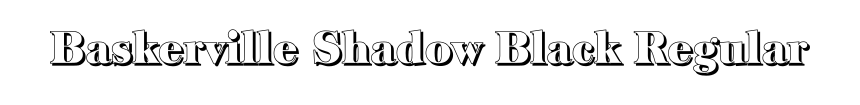 Baskerville Shadow Black Regular