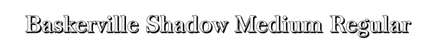 Baskerville Shadow Medium Regular