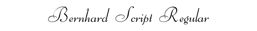 Bernhard Script Regular