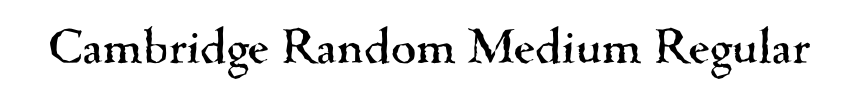 Cambridge Random Medium Regular