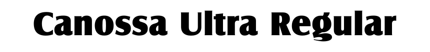 Canossa Ultra Regular