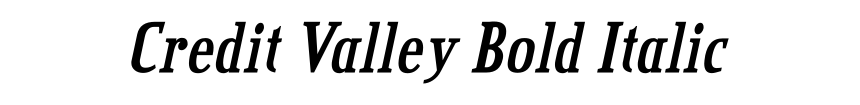 Credit Valley Bold Italic