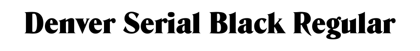 Denver Serial Black Regular