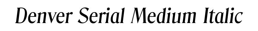 Denver Serial Medium Italic