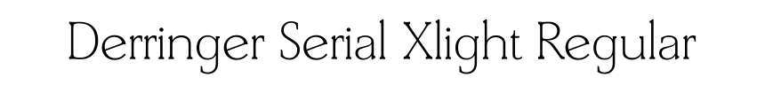 Derringer Serial Xlight Regular