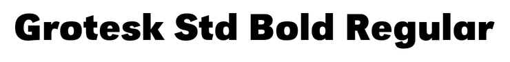 Grotesk Std Bold Regular