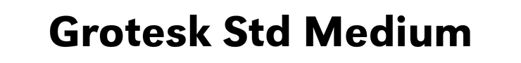 Grotesk Std Medium