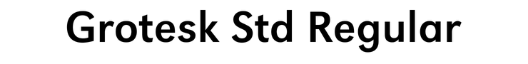 Grotesk Std Regular