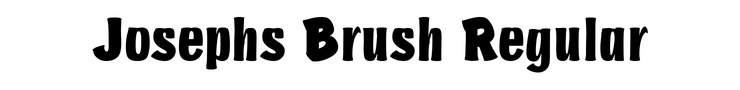 Josephs Brush Regular