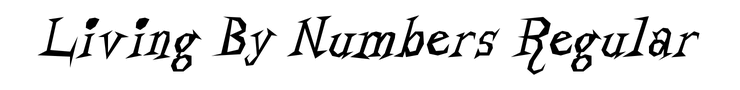 Living By Numbers Regular