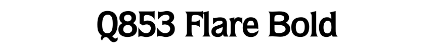 Q853 Flare Bold