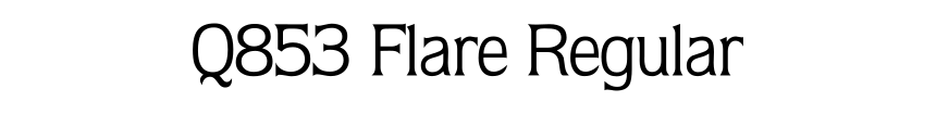Q853 Flare Regular