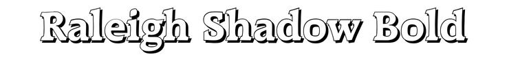 Raleigh Shadow Bold