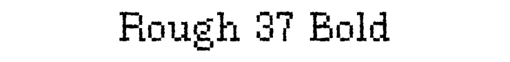 Rough 37 Bold