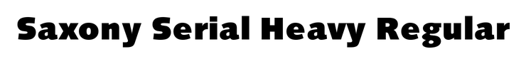 Saxony Serial Heavy Regular