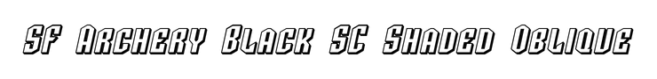SF Archery Black SC Shaded Oblique