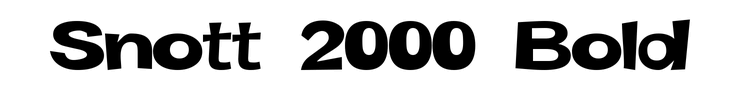 Snott 2000 Bold
