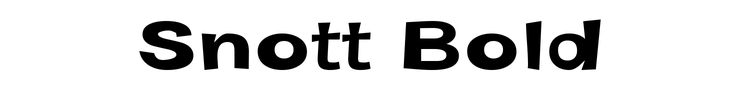 Snott Bold