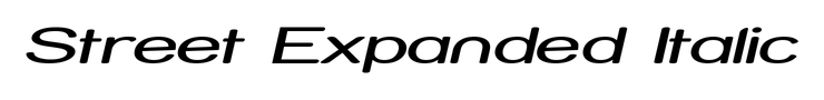 Street Expanded Italic