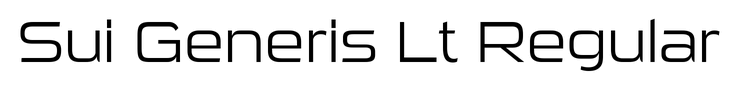 Sui Generis Lt Regular