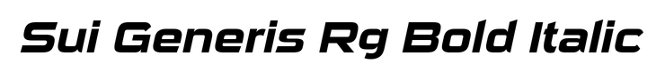 Sui Generis Rg Bold Italic