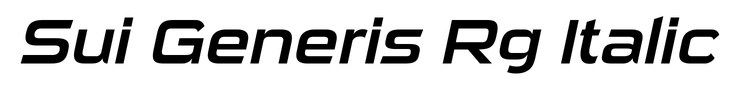 Sui Generis Rg Italic