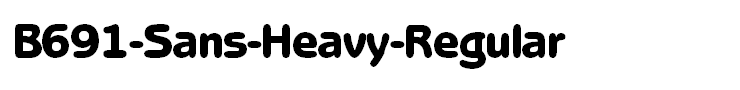 B691-Sans-Heavy-Regular