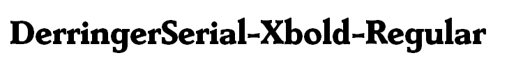 DerringerSerial-Xbold-Regular