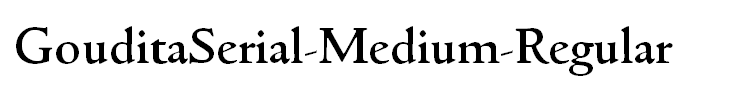 GouditaSerial-Medium-Regular