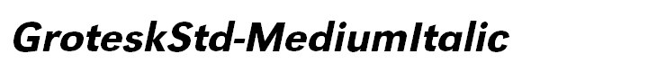 GroteskStd-MediumItalic