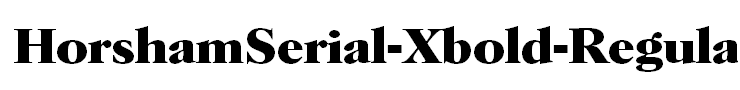 HorshamSerial-Xbold-Regular