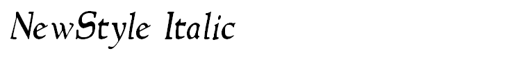 NewStyle Italic