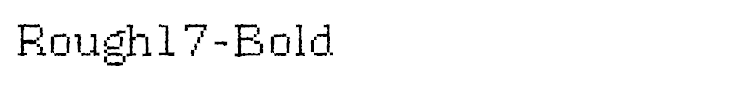 Rough17-Bold