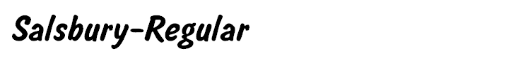 Salsbury-Regular