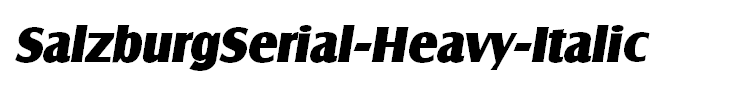 SalzburgSerial-Heavy-Italic