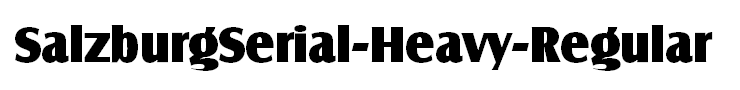 SalzburgSerial-Heavy-Regular