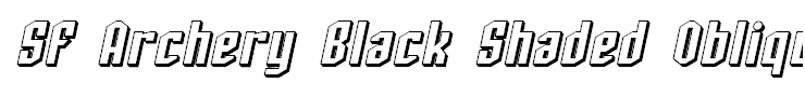 SF Archery Black Shaded Oblique