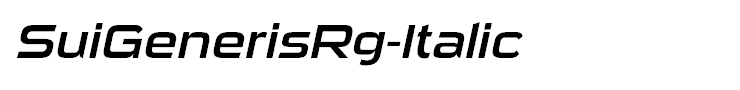 SuiGenerisRg-Italic